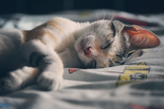 Why Self-Care Should Be On Your Fall To-Do List 3 self-care